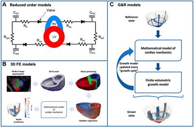 Computational models of ventricular mechanics and adaptation in response to right-ventricular pressure overload